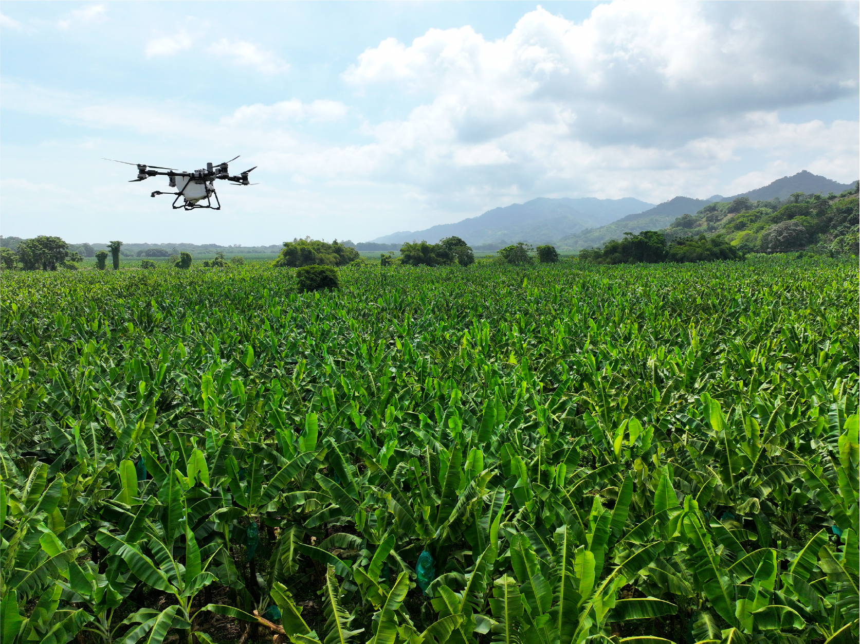 ¿Preparado para la evolución del Agro?